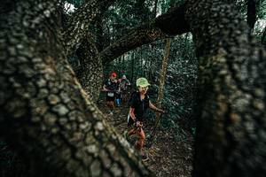 BIB: 
                            <button type="button" onclick="openModal(25392319)" class="btn btn-primary btn-sm float-right btn-popup" data-toggle="modal" data-target=".modal-high-quality">
                        <i class="fas fa-shopping-cart"></i> Add to Cart
                    </button>
                                            <button type="button" onclick="isThisMe(25392319, true)" class="btn btn-success btn-sm float-right btn-popup btn-isme hidden" data-toggle="tooltip" data-placement="bottom" title="นี่คือรูปของคุณใช่ไหม คลิกที่นี่เพื่อเอาเข้าอัลบั้ม">
                        <i class="fas fa-plus"></i> Add to album
                    </button>
                    <button type="button" onclick="isThisMe(25392319, false)" class="btn btn-warning btn-sm float-right btn-popup btn-isnotme hidden">
                        <i class="fas fa-ban"></i> Remove from album
                    </button>